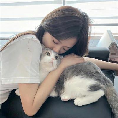 夹心情